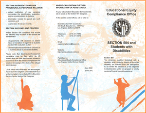Section 504 brochure image